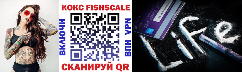 купить наркоту  Карпинск  COCAIN Fish Scale 