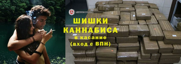 PSILOCYBIN Михайлов