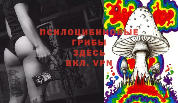 ешки Медногорск