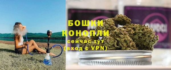 ешки Медногорск