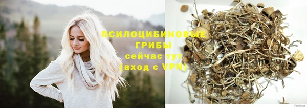 ешки Медногорск