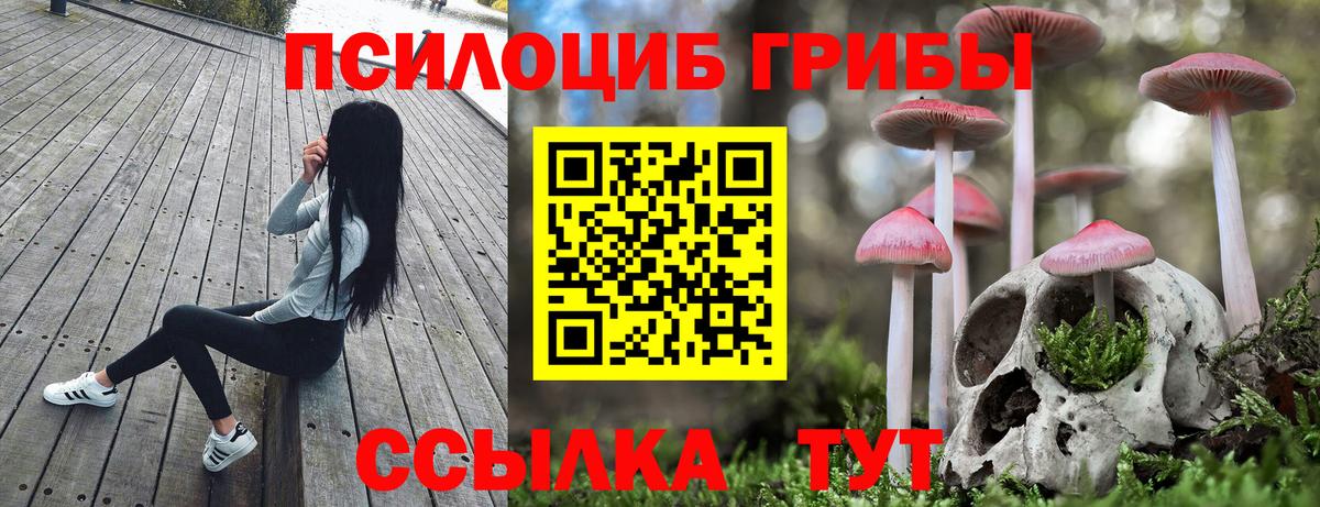 Карпинск  Псилоцибиновые грибы Psilocybe  Вход с VPN 