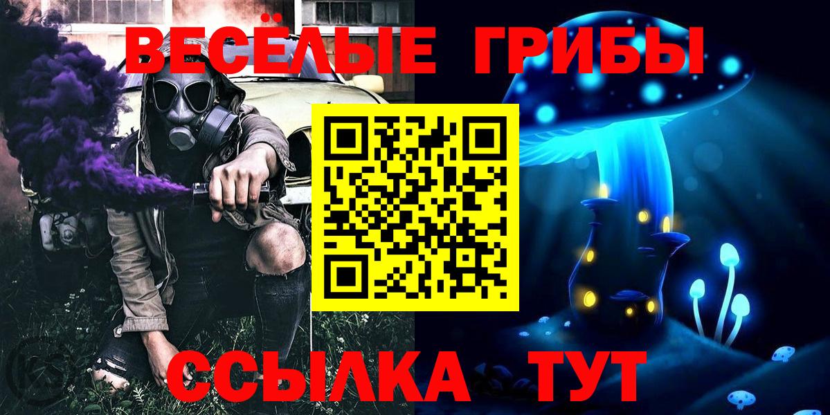 Псилоцибиновые грибы прущие грибы Карпинск